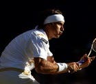 David Ferrer (Photo by Clive Brunskill/Getty Images)