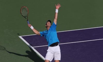 Andy Murray, Miami 2014 (foto Art Seitz)