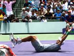 Djokovic si aggiudica il punto decisivo, Miami 2014 (foto ART SEITZ)