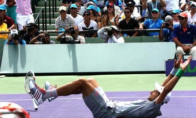 Djokovic si aggiudica il punto decisivo, Miami 2014 (foto ART SEITZ)