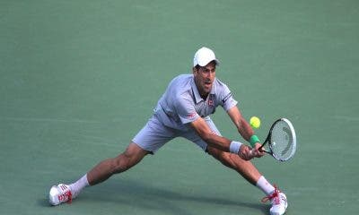 Novak Djokovic, Miami 2014 (foto Art Seitz)