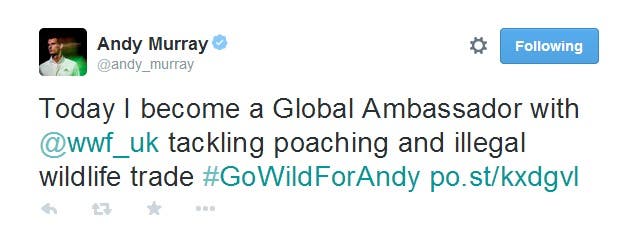 Andy Murray su Twitter   Today I become a Global Ambassador with  wwf_uk tackling poaching and illegal wildlife trade  GoWildForAndy http   t.co xASc7FK0Td