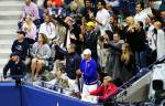 Il player box di Novak Djokovic festeggia - F US Open 2015 (foto di Art Seitz)