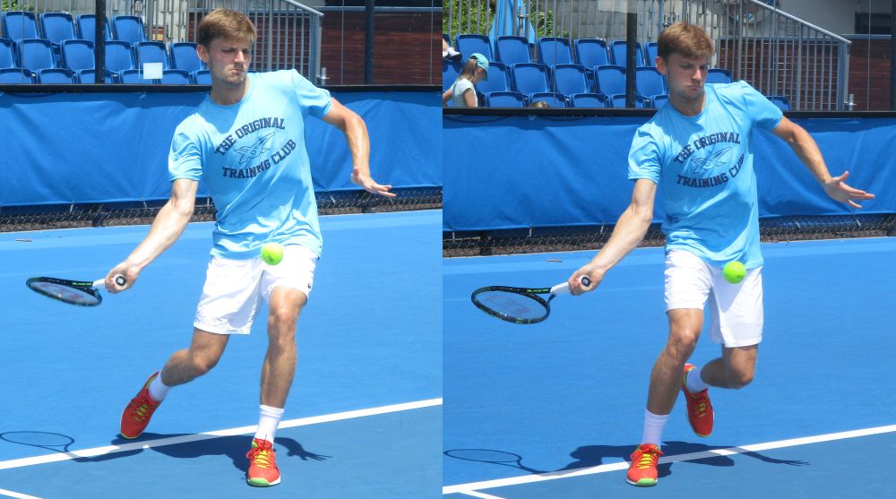 goffin dritto appoggi contrari