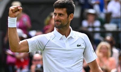 Novak Djokovic – Wimbledon 2022 (foto via Twitter @rolandgarros)