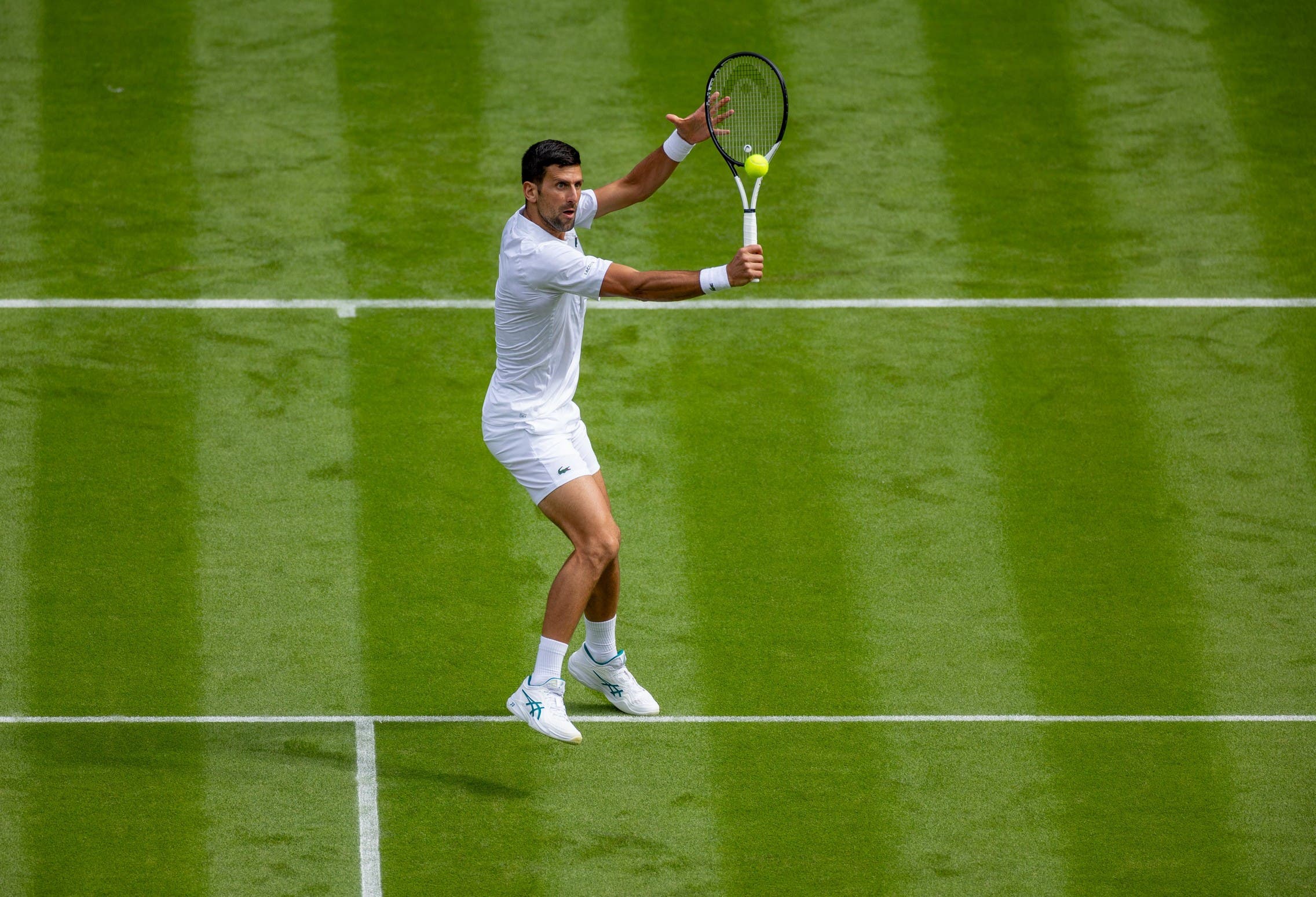 Novak Djokovic - Wimbledon 2023 (Twitter @wimbledon)