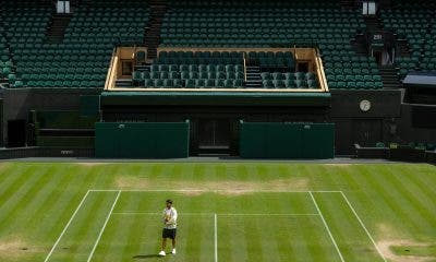 Carlos Alcaraz - Wimbledon 2023 (Twitter @carlosalcaraz)